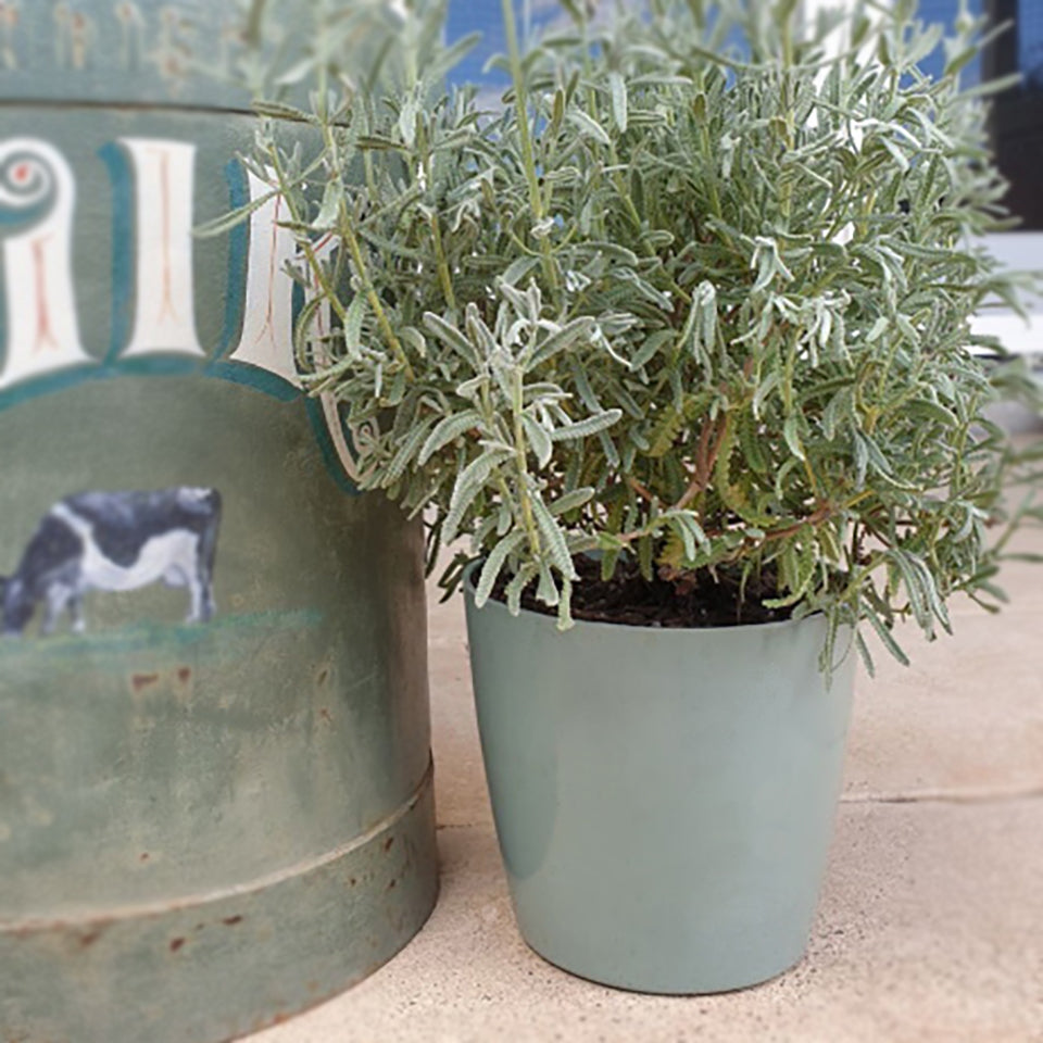 Self-Watering Plant Pot Set of 2, 5" Green Flower & 7" Sage Green