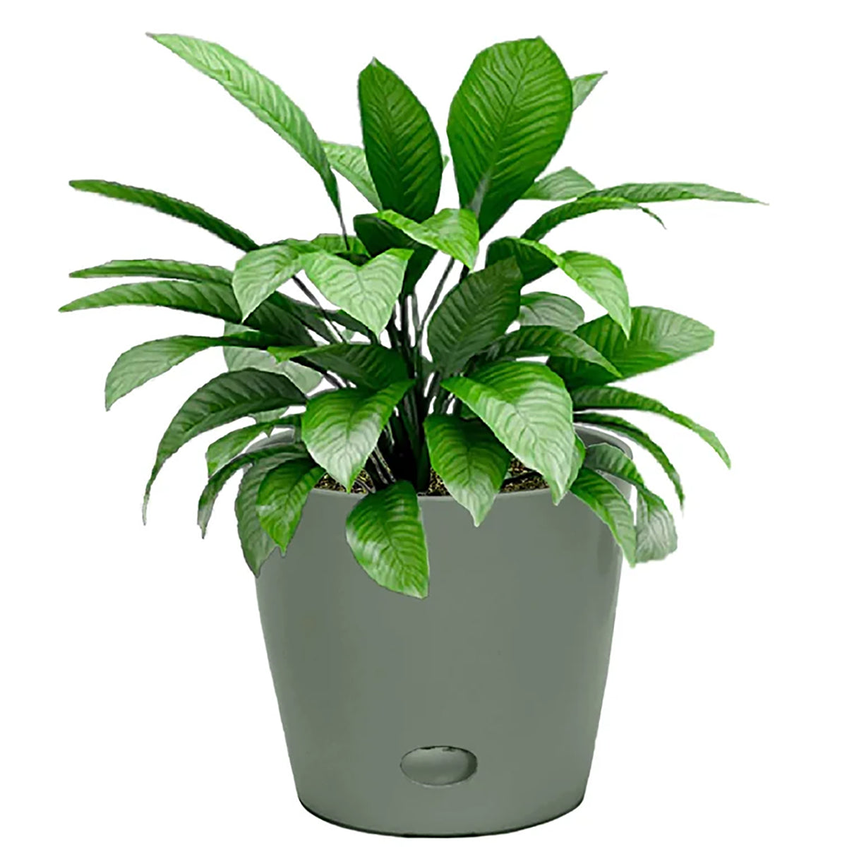 Self-Watering Plant Pot Set of 2, 5" Green Flower & 7" Sage Green
