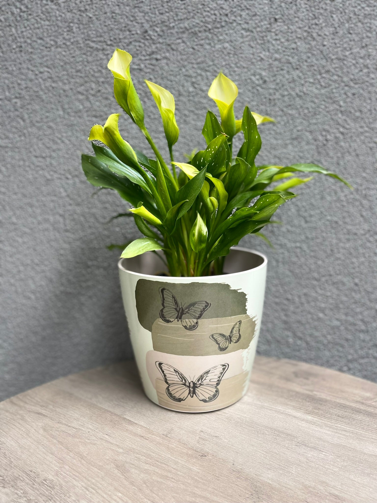 7" Butterfly Round Bamboo Self-Watering Indoor/Outdoor Plant Pot with yellow calla lilies, eco-friendly and biodegradable.