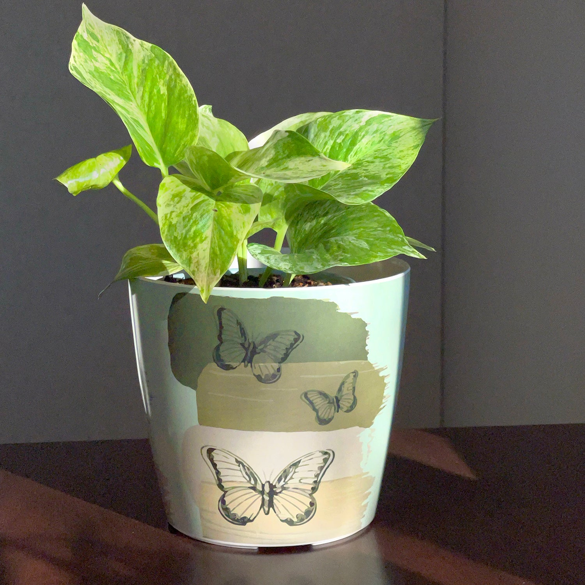 7" Butterfly Round Bamboo Self-Watering Plant Pot, eco-friendly and biodegradable with butterfly design.