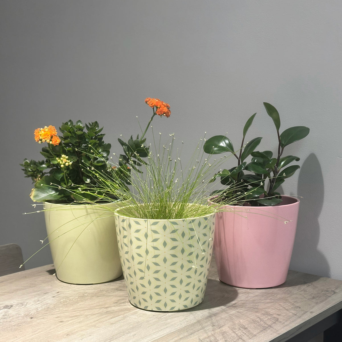 7" Rose Round Bamboo Self-Watering Indoor/Outdoor Plant Pot