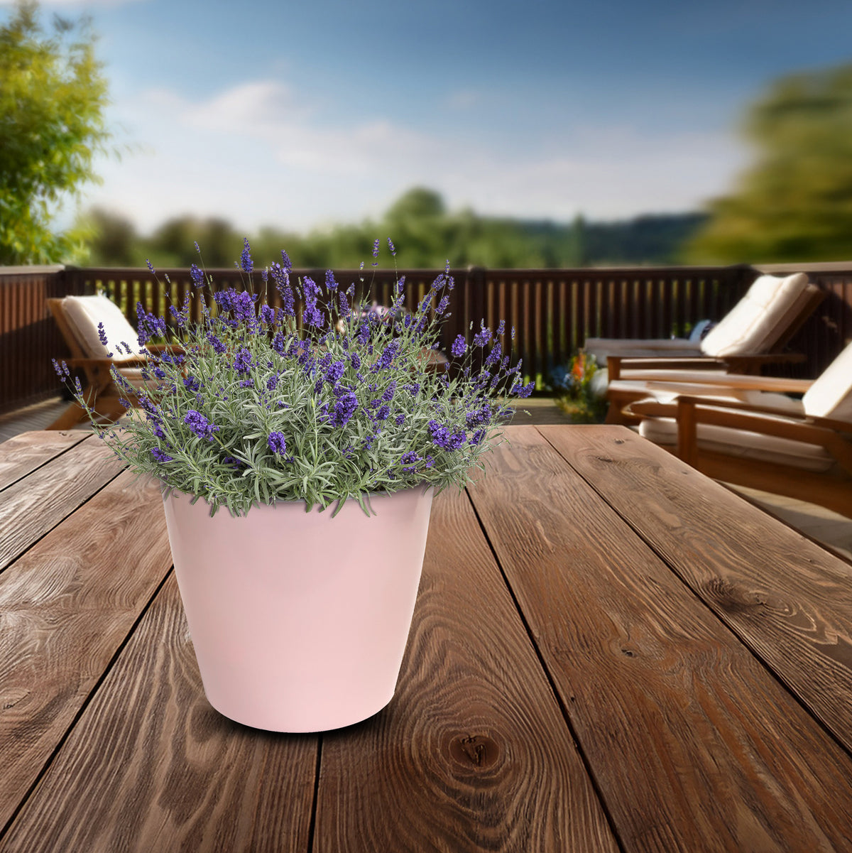 7" Rose Round Bamboo Self-Watering Indoor/Outdoor Plant Pot