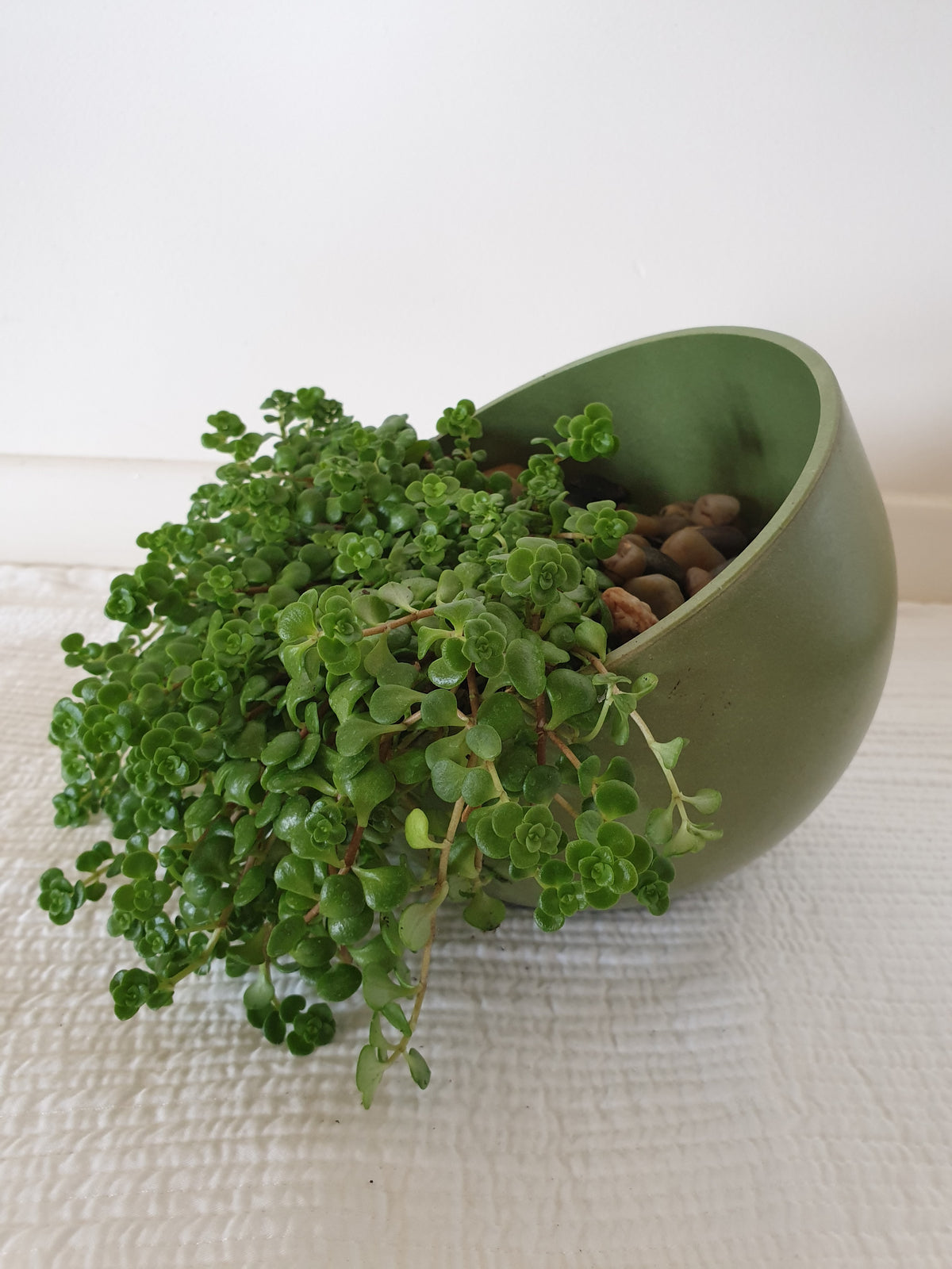 7" Seafoam Green Orbital Natural Bamboo Fiber Indoor/Outdoor Planter