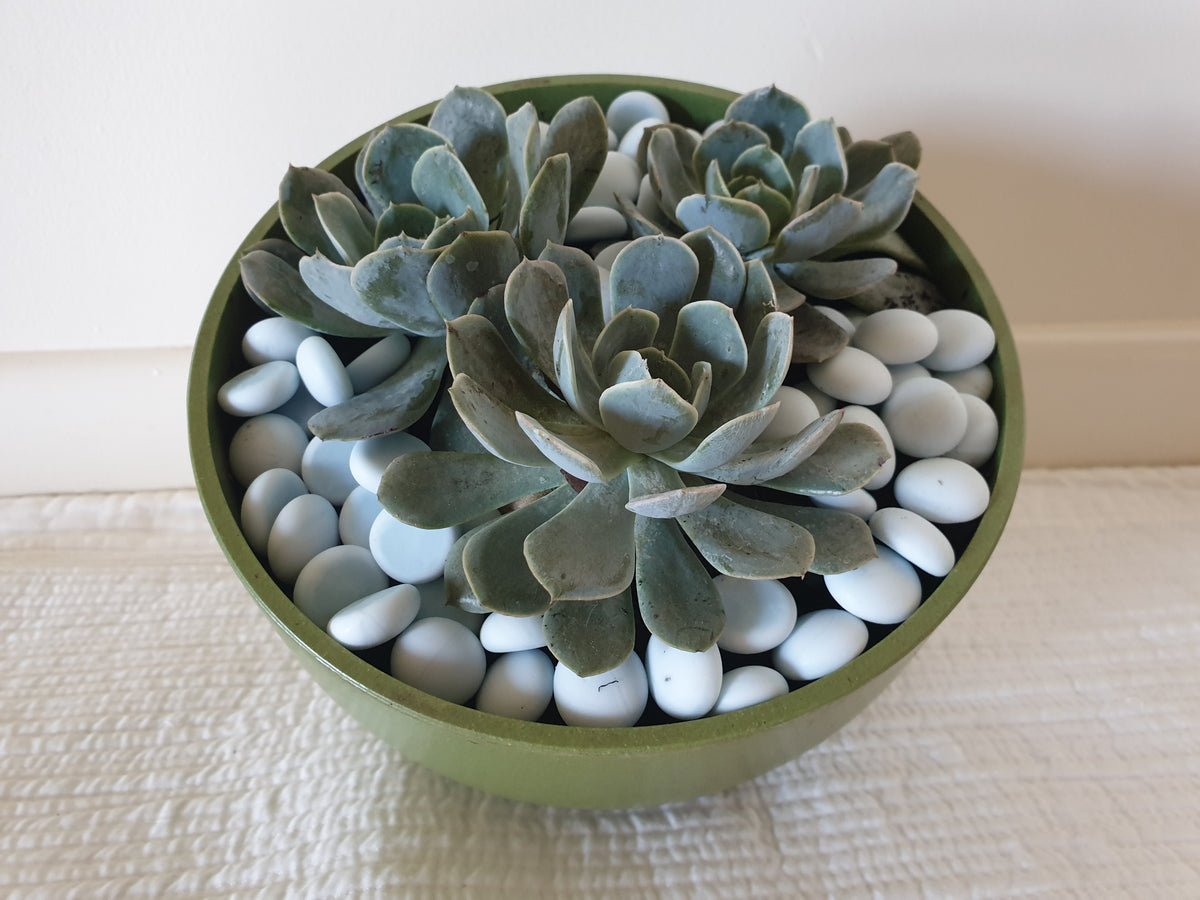 7" Seafoam Green Orbital Natural Bamboo Fiber Indoor/Outdoor Planter