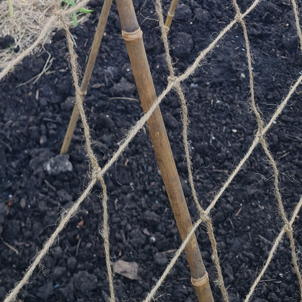 Jute Pea & Bean Netting – Natural Plant Support