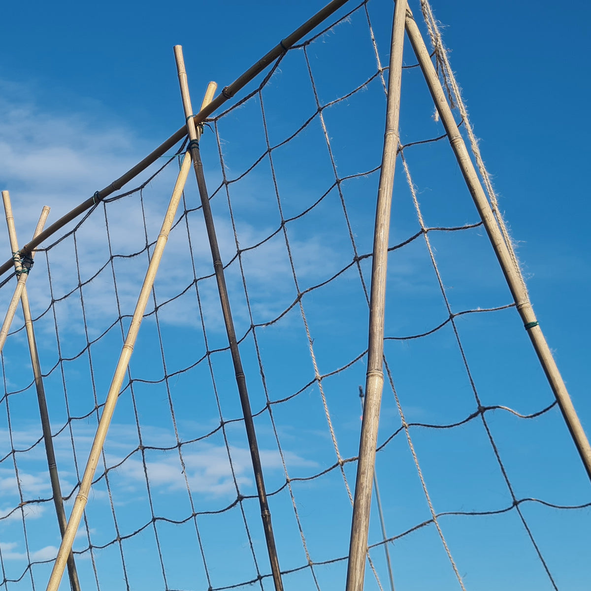 Jute Pea & Bean Netting – Natural Plant Support