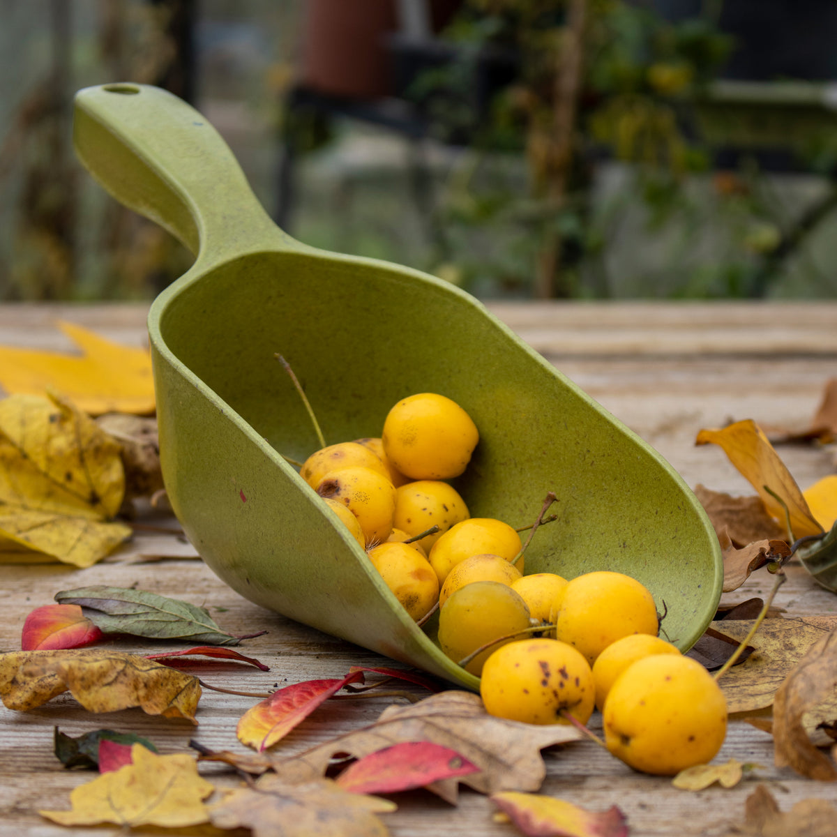 Bamboo Scoop – Sustainable & Biodegradable Garden Tool