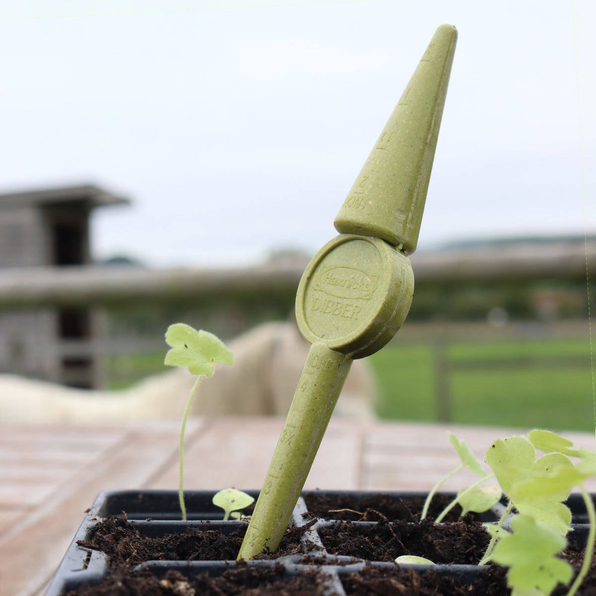 Haxnicks Bamboo Widger & Dibber Set