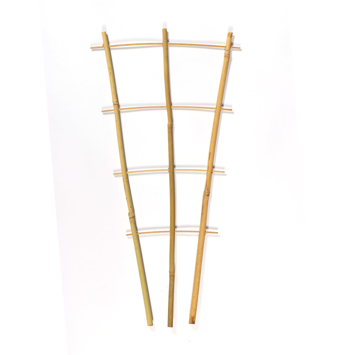 Bamboo Fan Trellis Plant Support – 2ft / 3ft / 4ft – 3 Pack