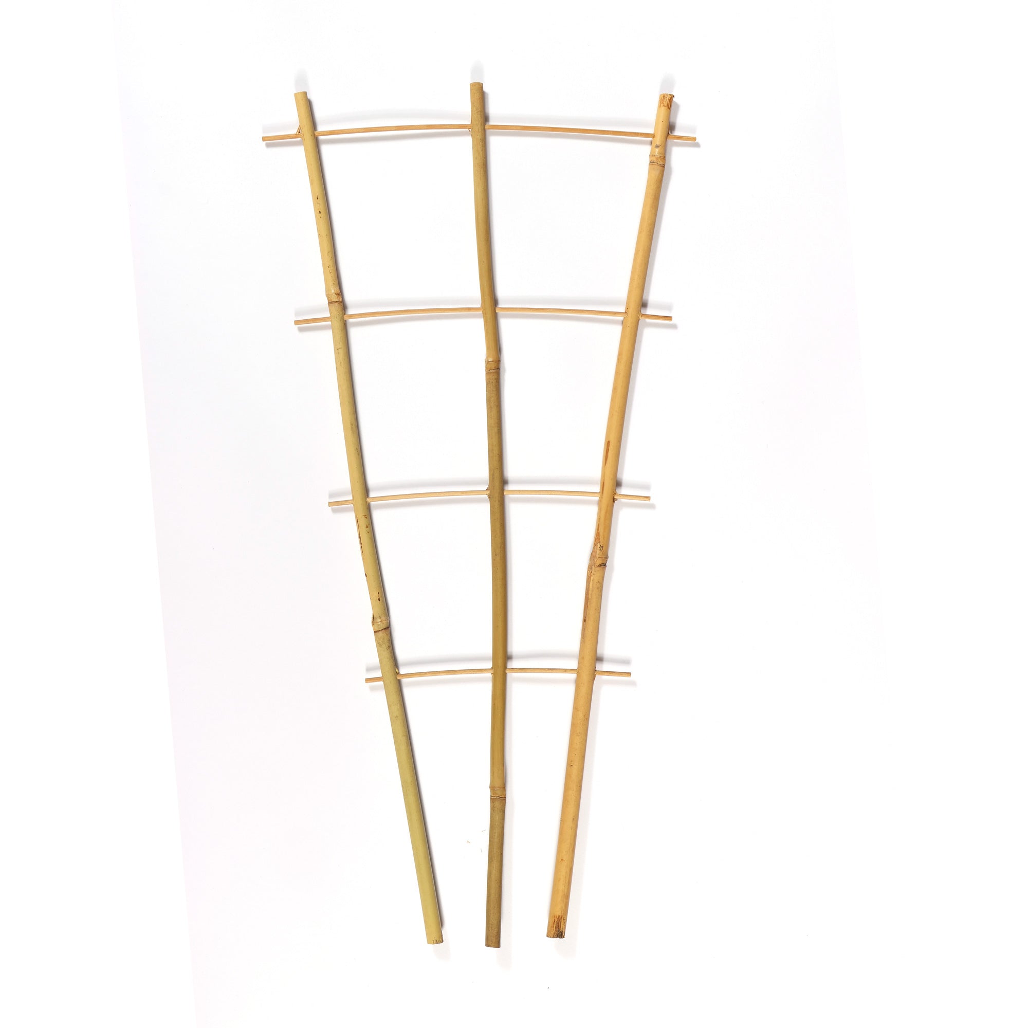 bamboo trellis indoor plants Bamboo Fan Trellis – Eco-Friendly Plant Support for Vines & Flowers (3-Pack)