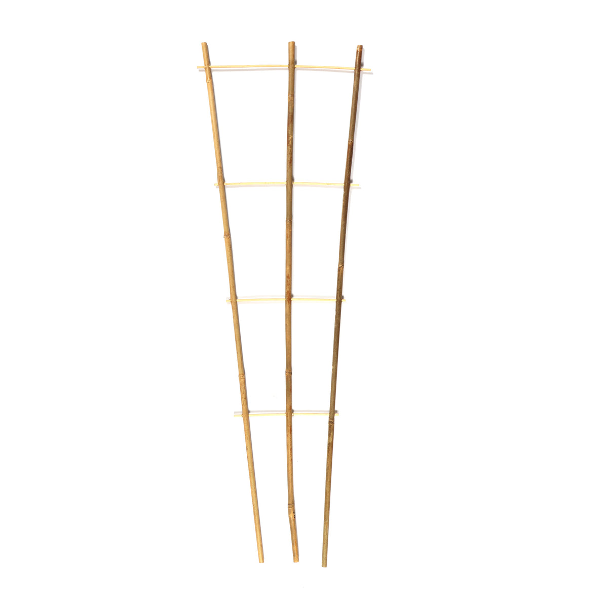 Bamboo Fan Trellis Plant Support – 2ft / 3ft / 4ft – 3 Pack