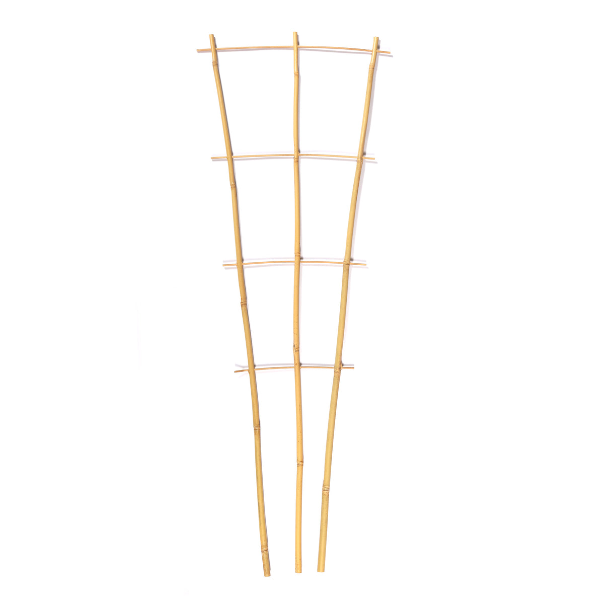 Bamboo Fan Trellis Plant Support – 2ft / 3ft / 4ft – 3 Pack