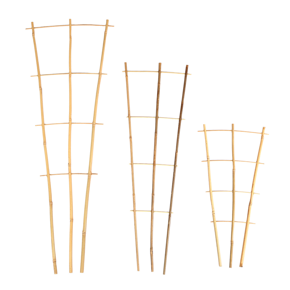 Bamboo Fan Trellis Plant Support – 2ft / 3ft / 4ft – 3 Pack