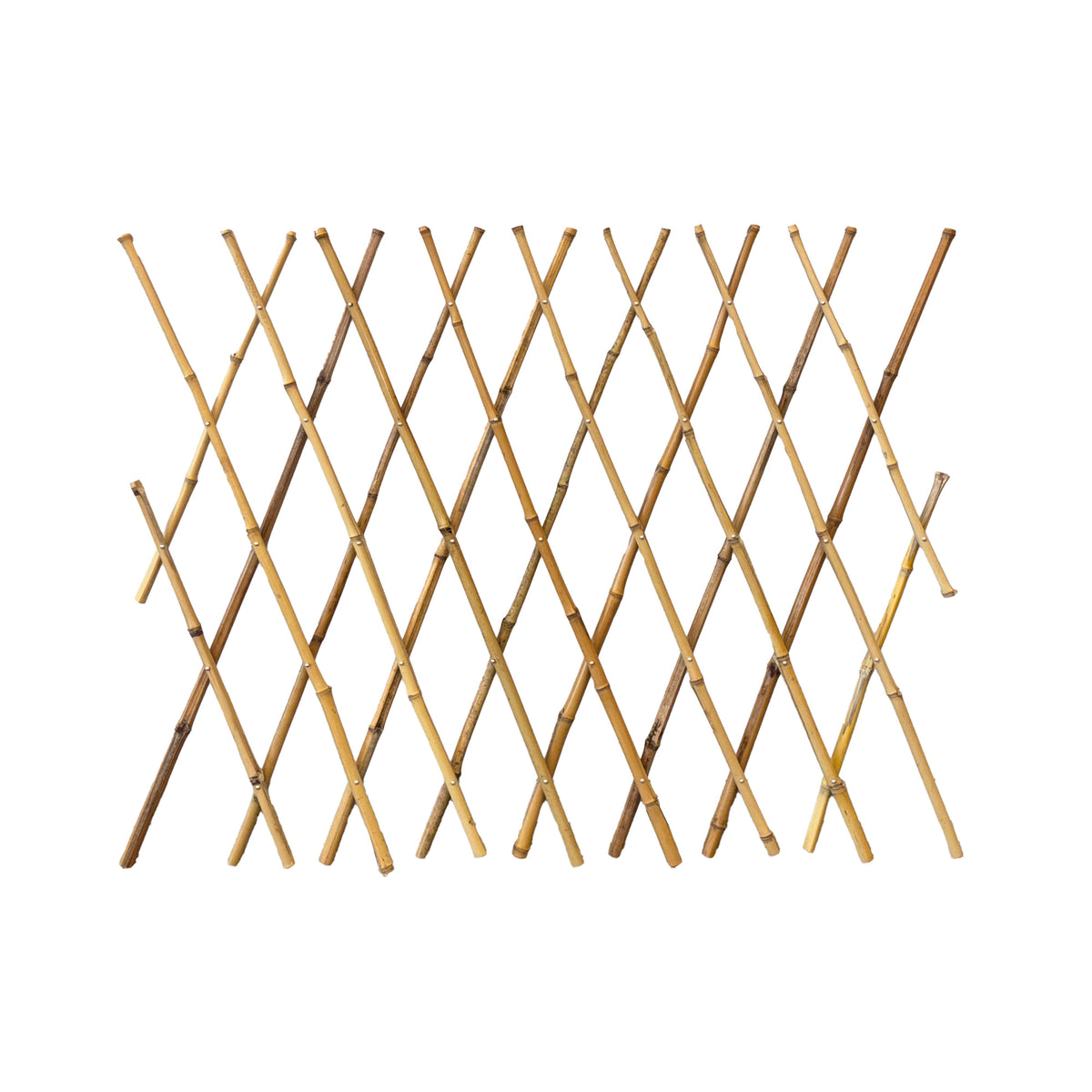 Bamboo Expanding Trellis – 100% Natural & Sustainable