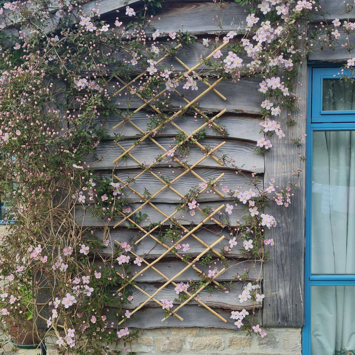 Bamboo Expanding Trellis – 100% Natural & Sustainable