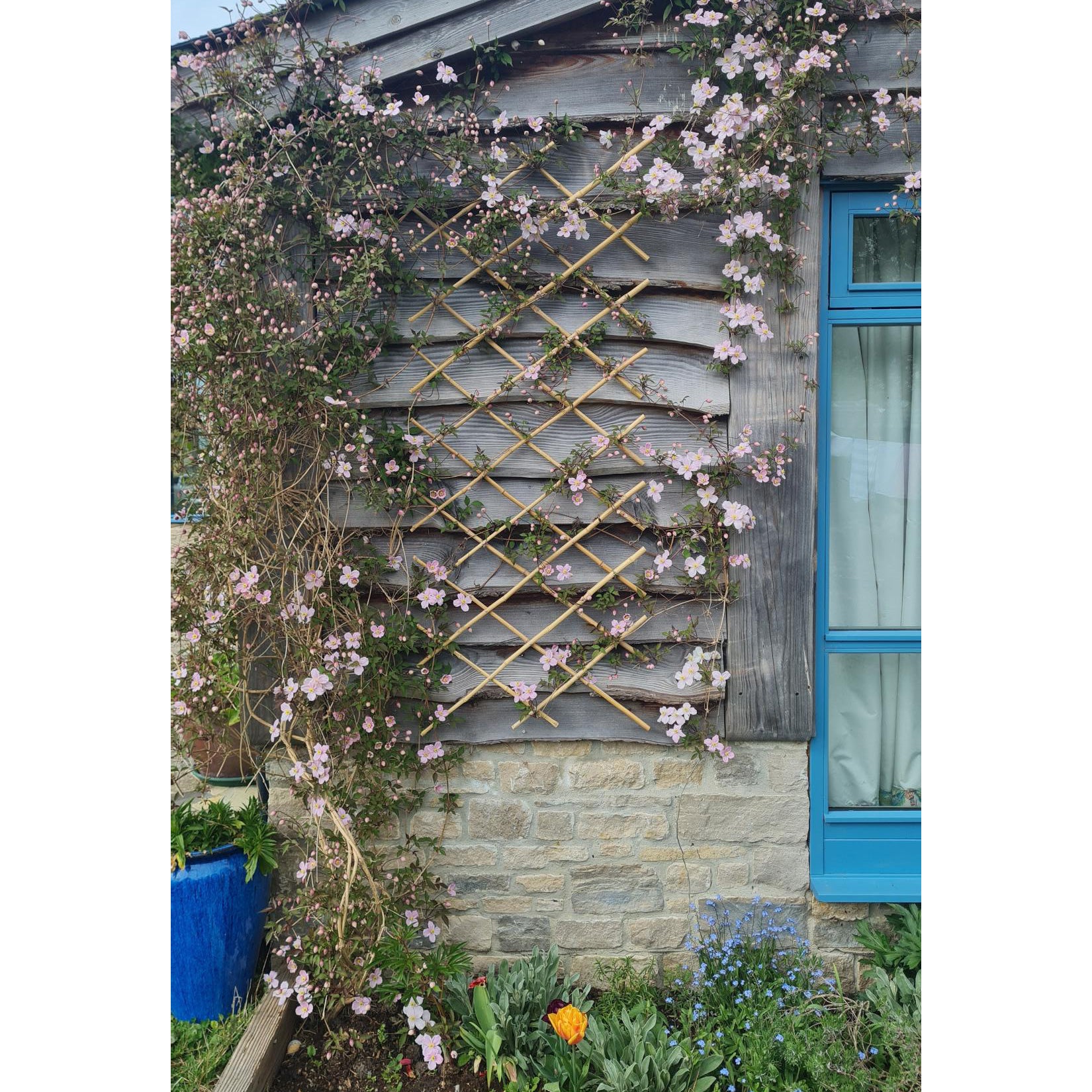 expandable plant trellis Bamboo Expanding Trellis – Eco-Friendly Adjustable Plant Support