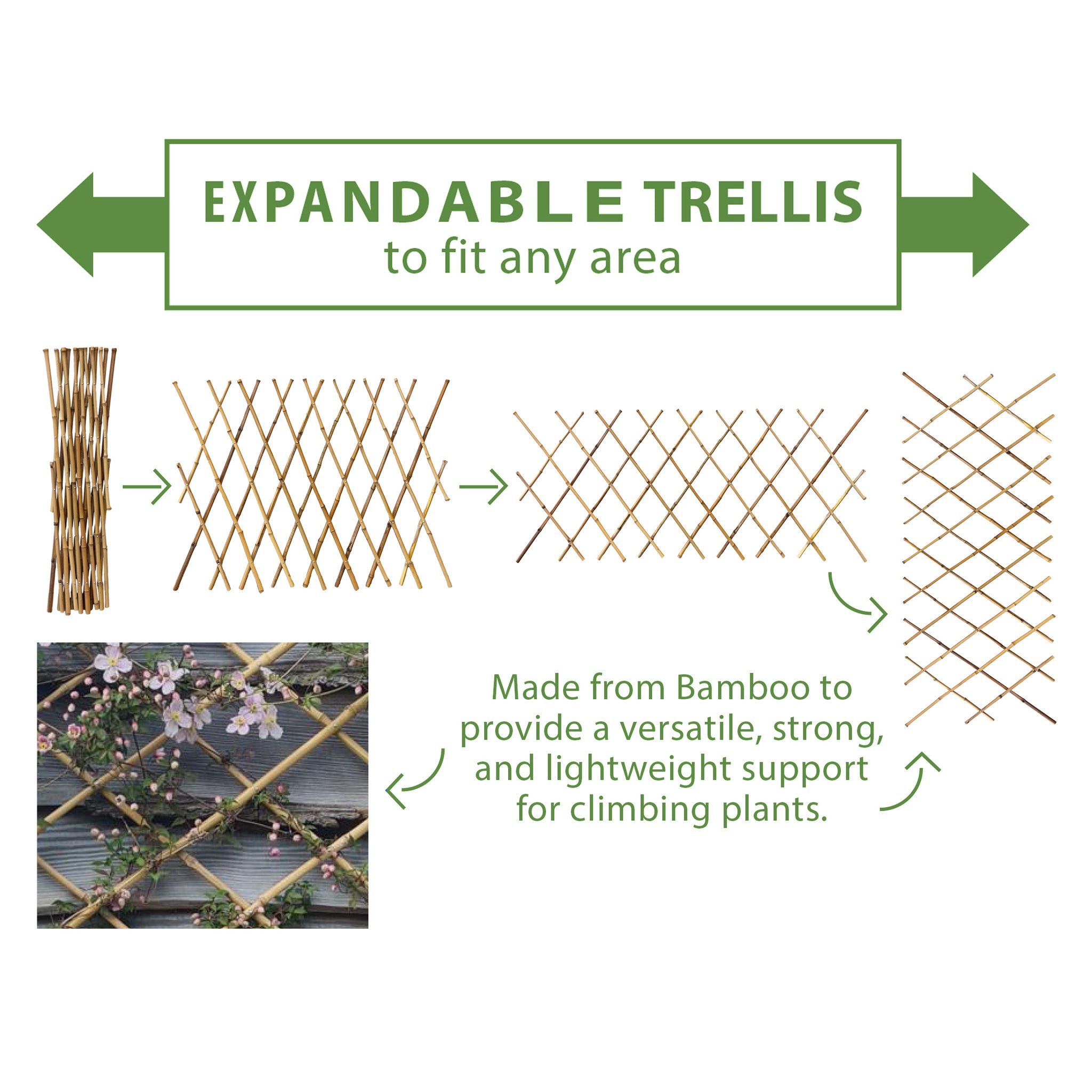 expandable plant trellis Bamboo Expanding Trellis – Eco-Friendly Adjustable Plant Support