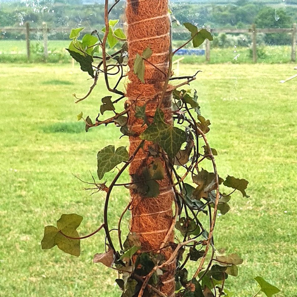 Coco Pole – 24" Plant Support