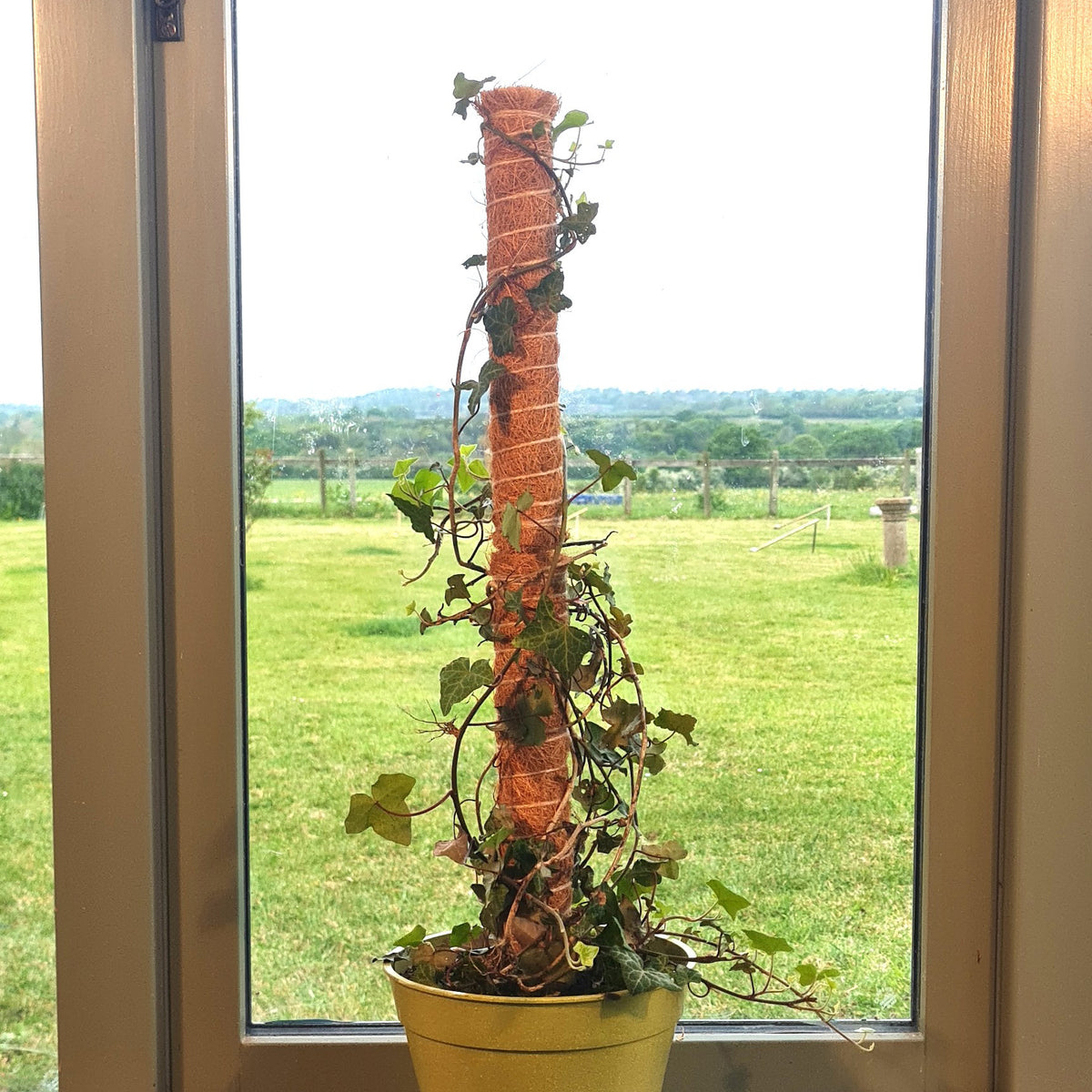 Coco Pole – 24" Plant Support