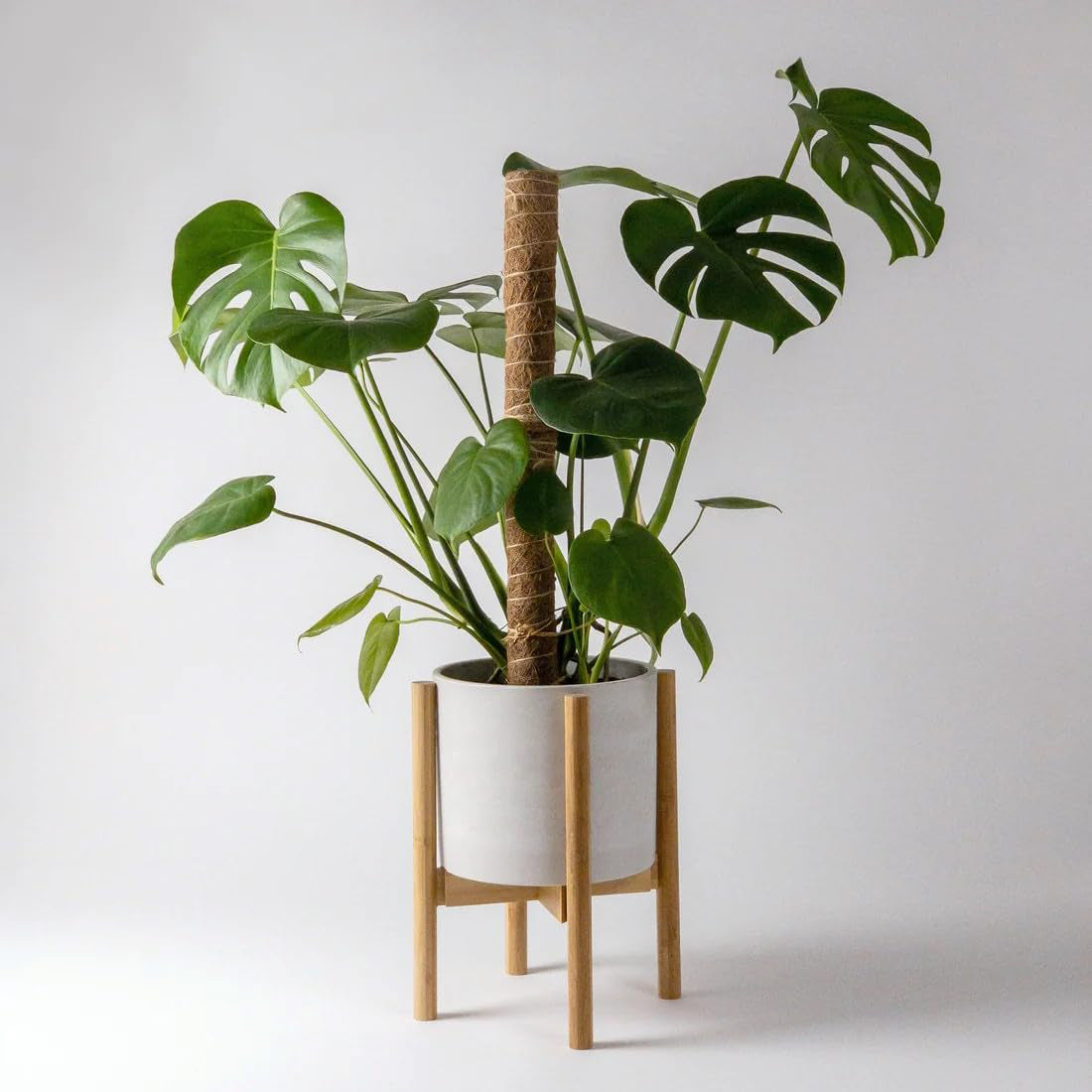 Coco Pole – 24" Plant Support