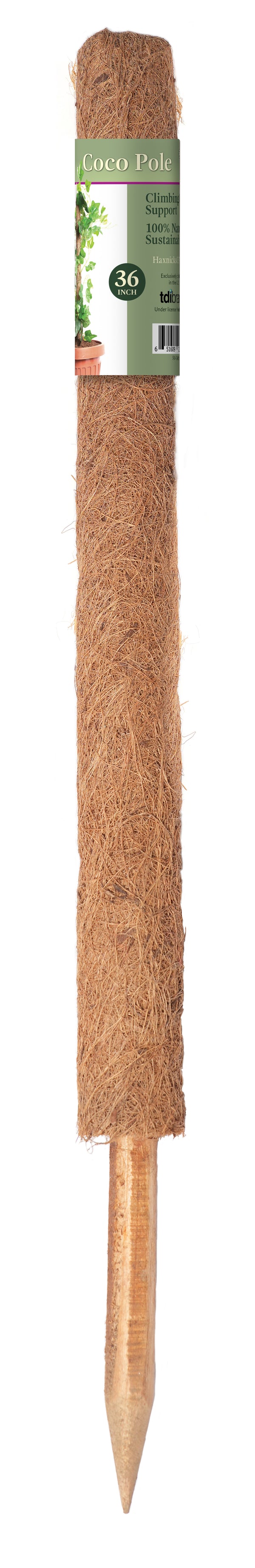 Coco Pole 36