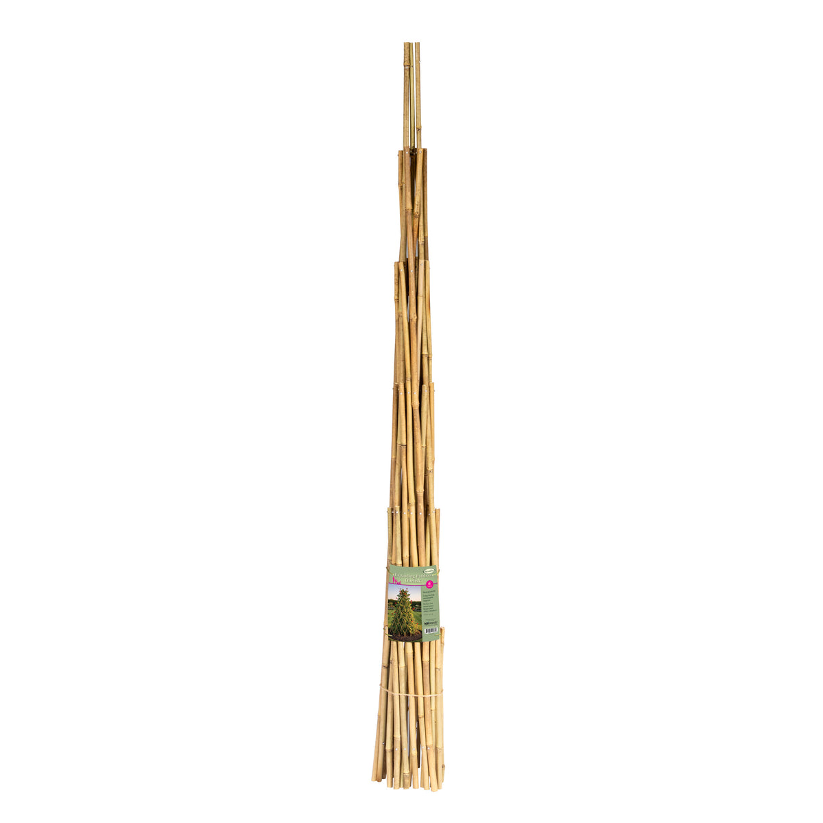 Haxnicks 6' Bamboo Expanding Obelisk – Natural Climbing Plant Support