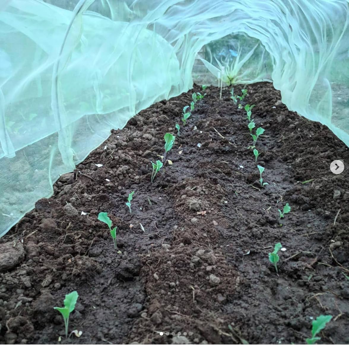 Easy Micromesh Garden Tunnel, 118"L x 18"W x 12"H 1.8lbs