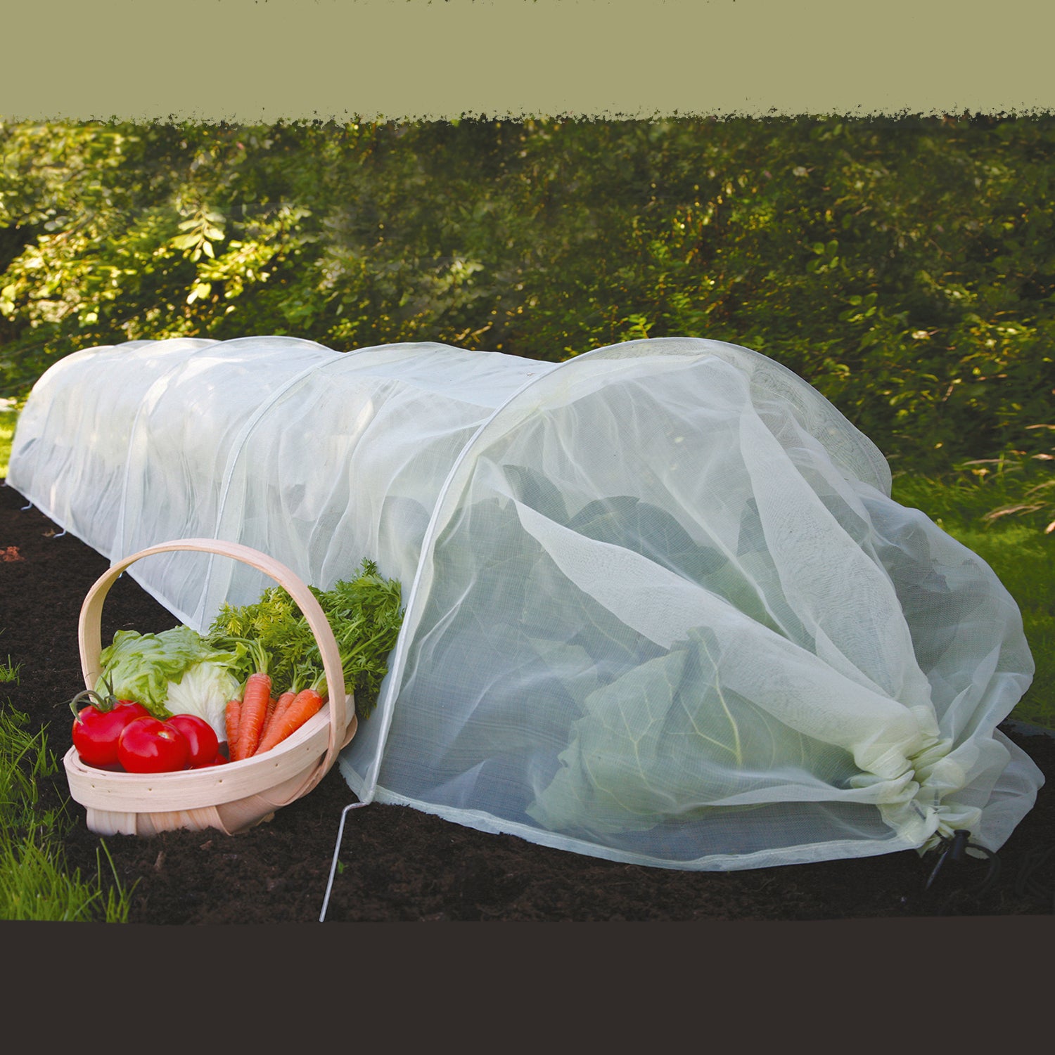 plastic tunnel for plants Haxnicks Easy Micromesh Tunnel