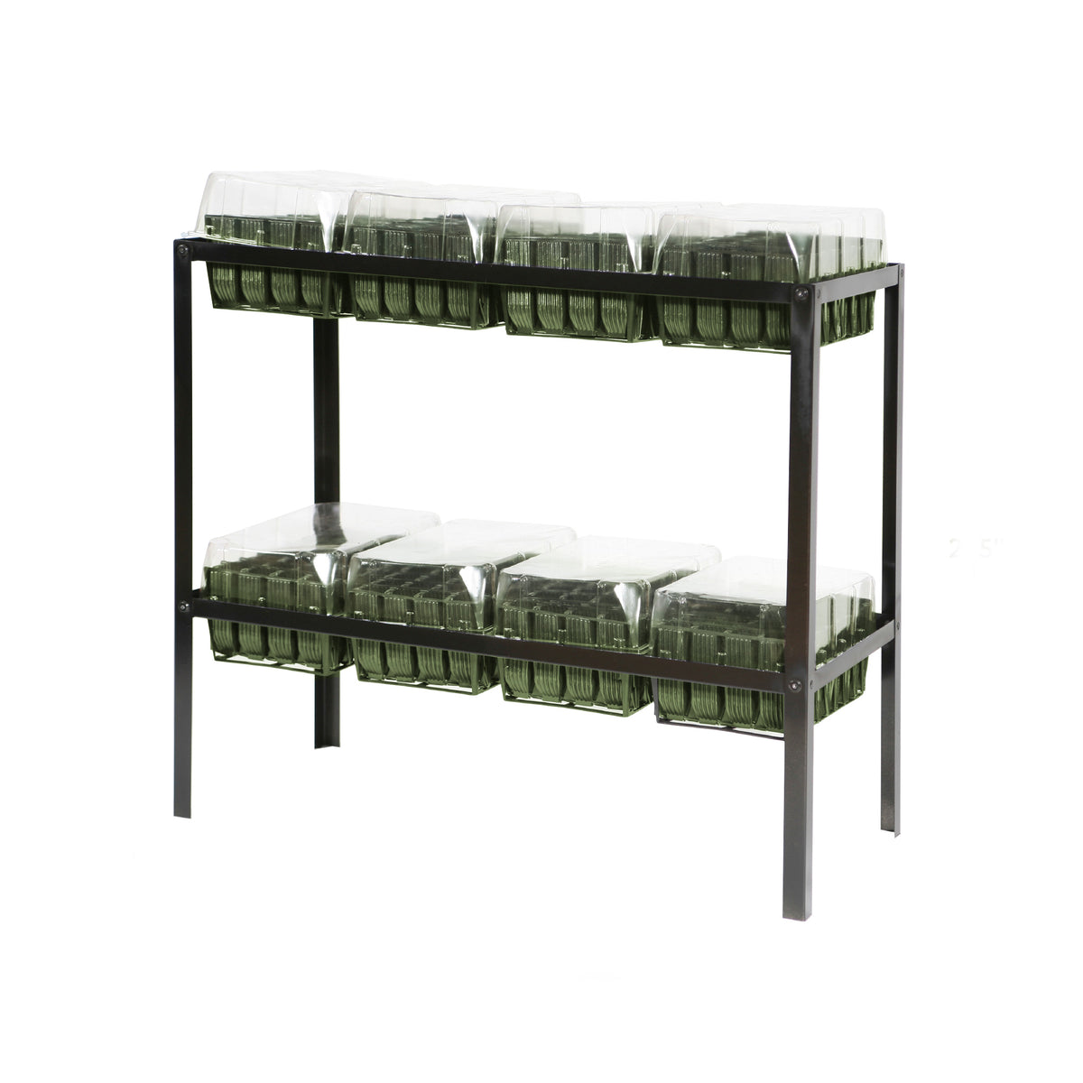 Haxnicks Rootrainer Racking Station w/ 8 Deep Rootrainers 5" Deep