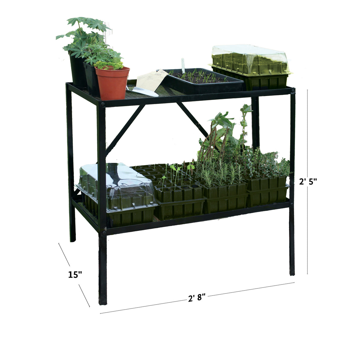 Haxnicks Rootrainer Racking Station w/ 8 Deep Rootrainers 5" Deep