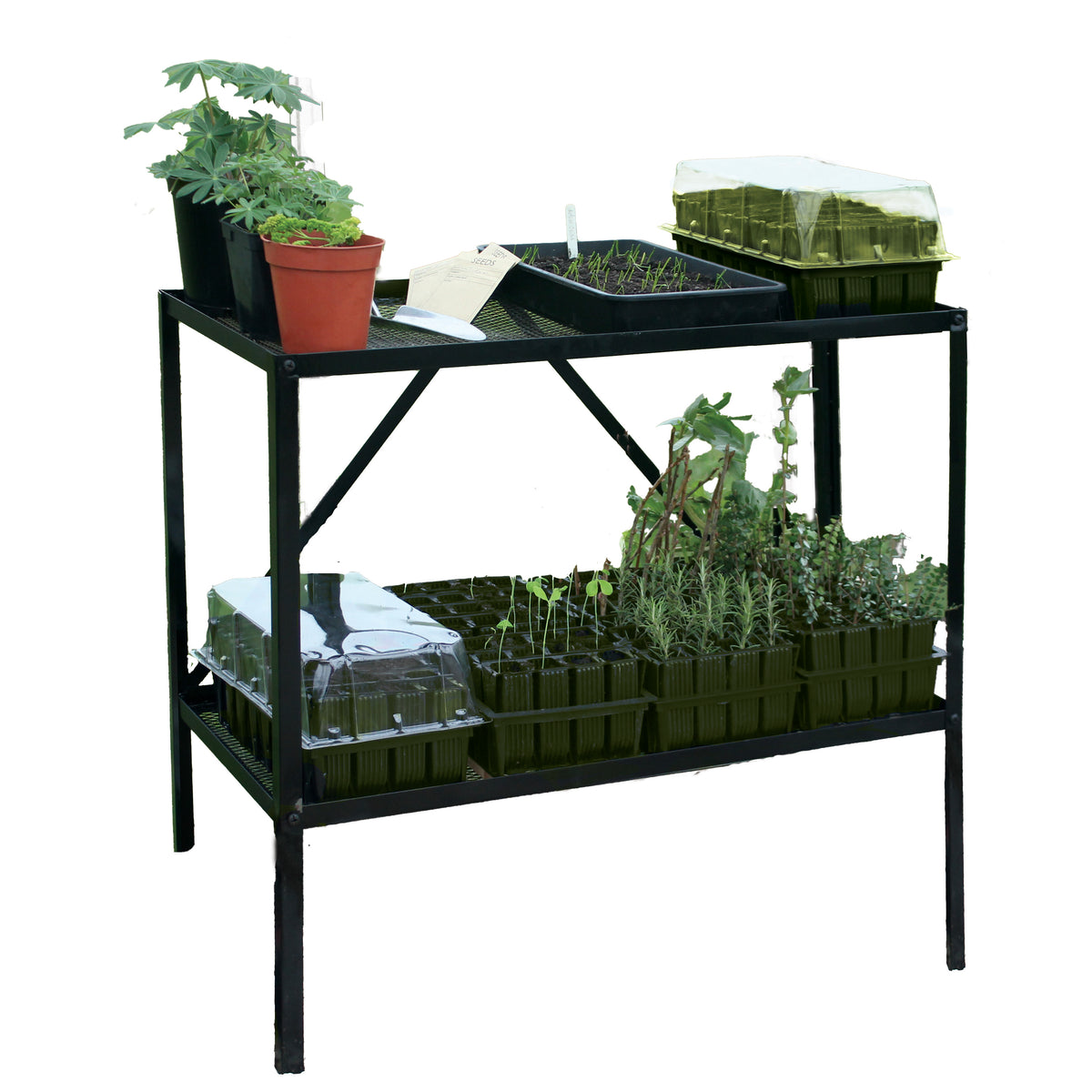 Haxnicks Rootrainer Racking Station w/ 8 Deep Rootrainers 5" Deep