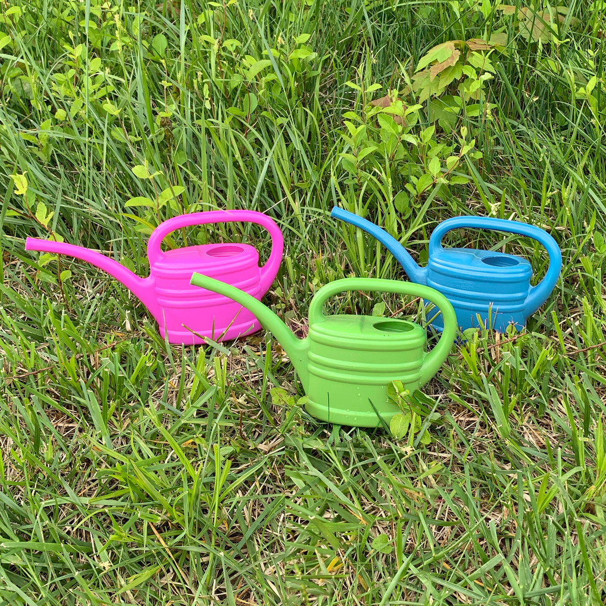 1 Pint Blue Plastic Watering Can – Lightweight Indoor Plant & Kids Watering Can