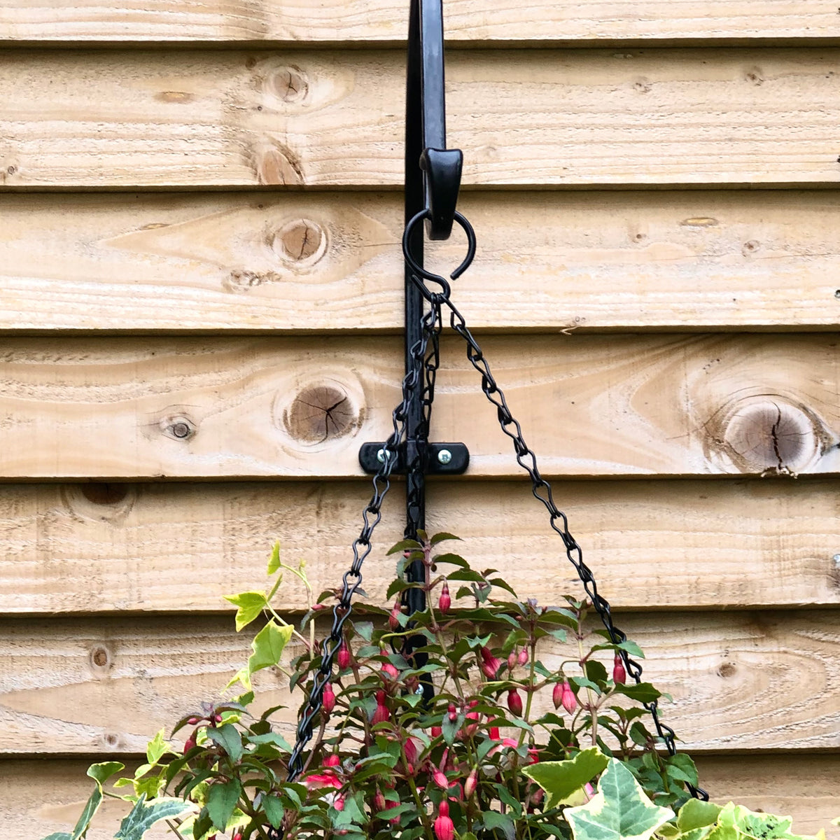 RHS 11" Arch Hook – Hanging Basket, Bird Feeder & Garden Hook