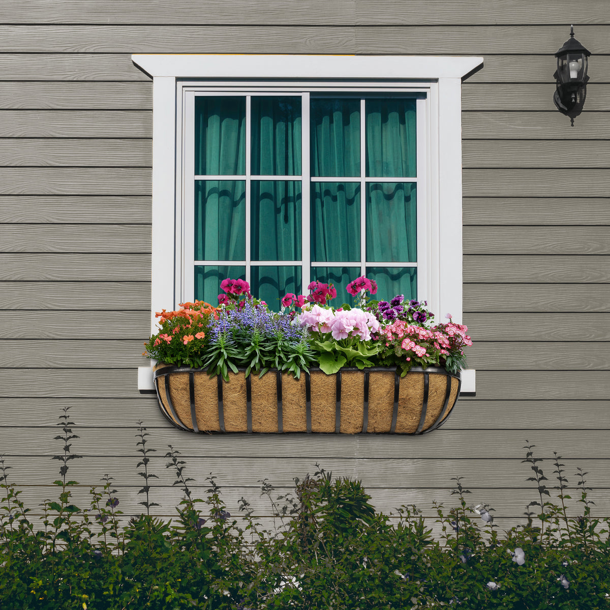 36" Cambridge Premium Window/Wall Trough Planter w/Coco Liner, 36"L x 8"W x 7"H