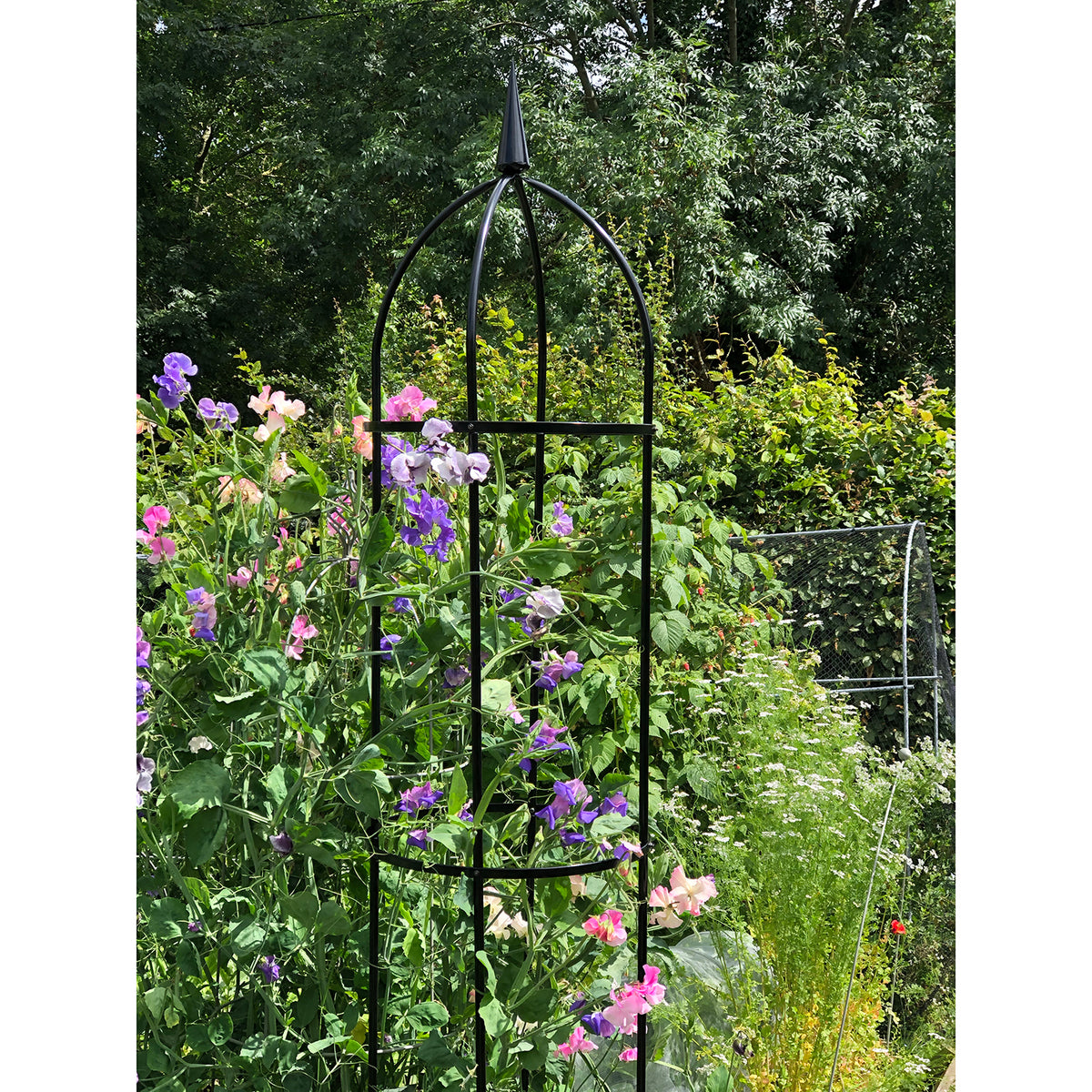 RHS 94.5" Garden Obelisk – Powder-Coated Steel Climbing Plant Support