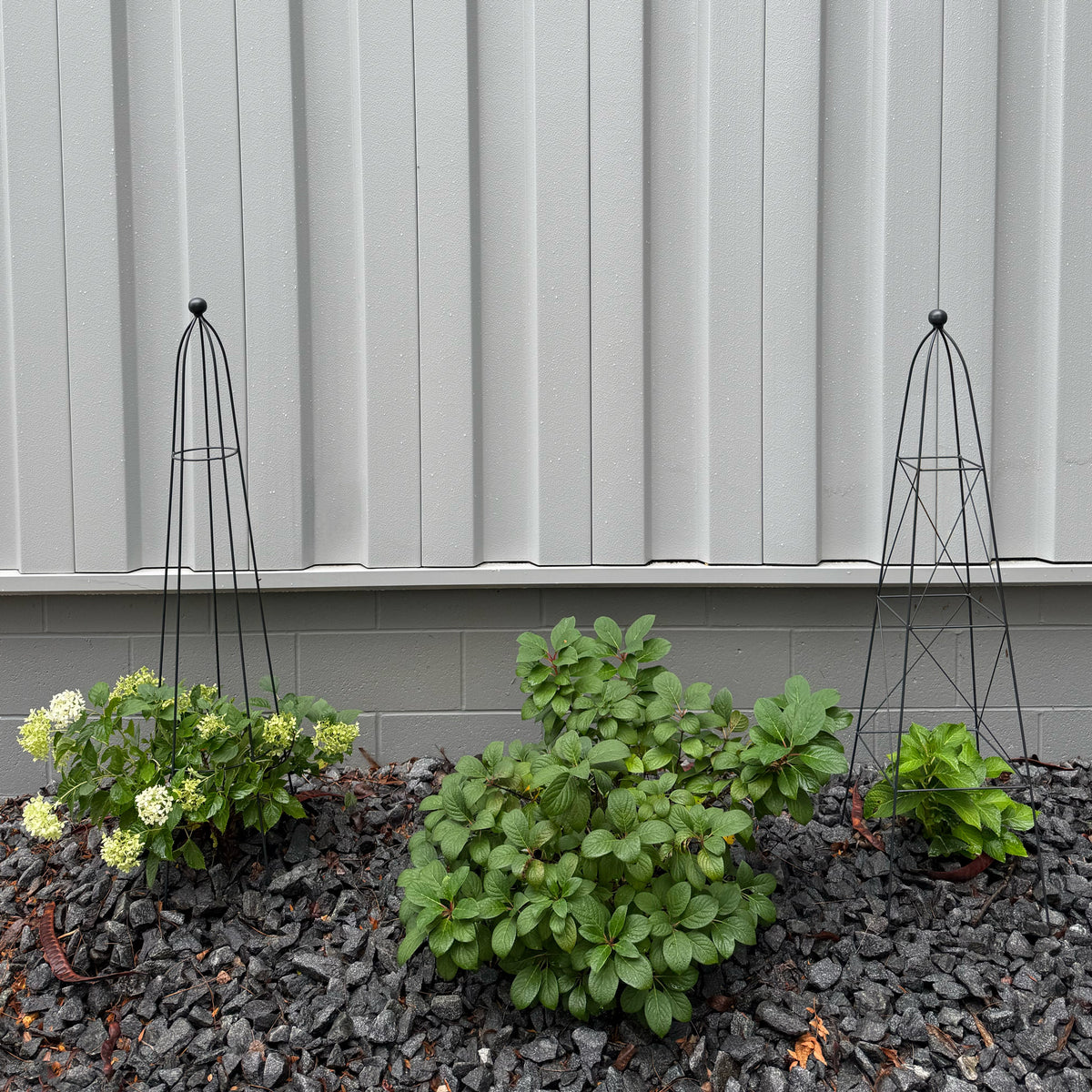 Queen Obelisk Classic – Stylish Garden Plant Support