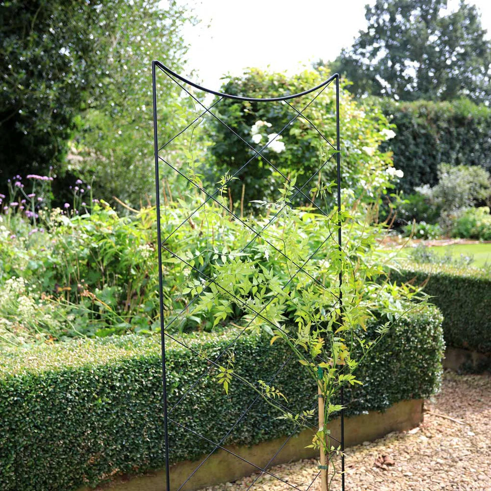 RHS Crescent Screen Trellis – 71" Freestanding Steel Climbing Plant Support