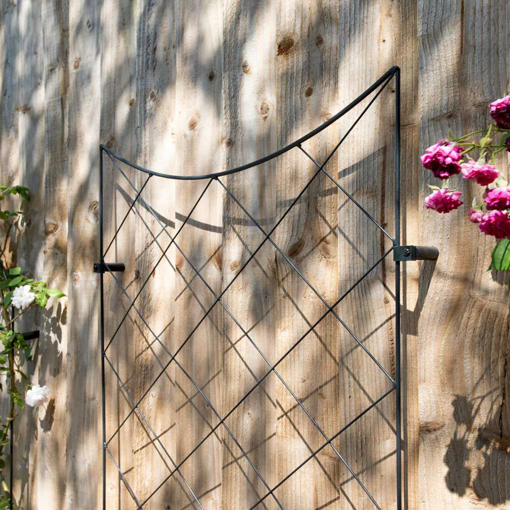 wall mounted plant trellis Crescent Wall Trellis – Decorative Steel Wall-Mounted Plant Support
