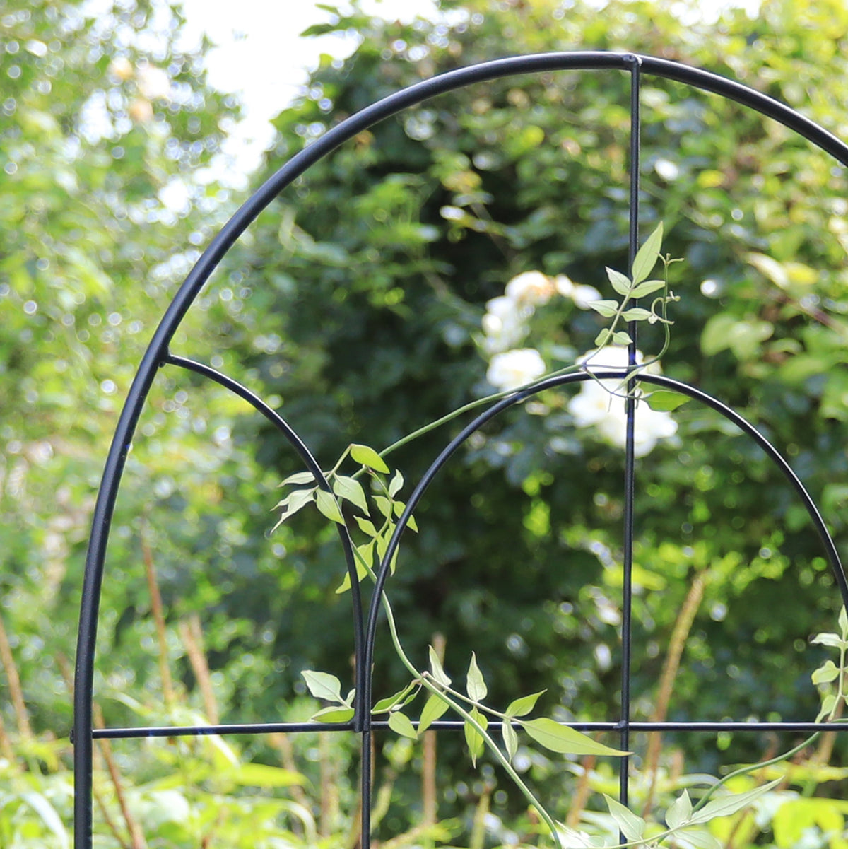 RHS Round Screen Trellis – 71" Freestanding Steel Climbing Plant Support