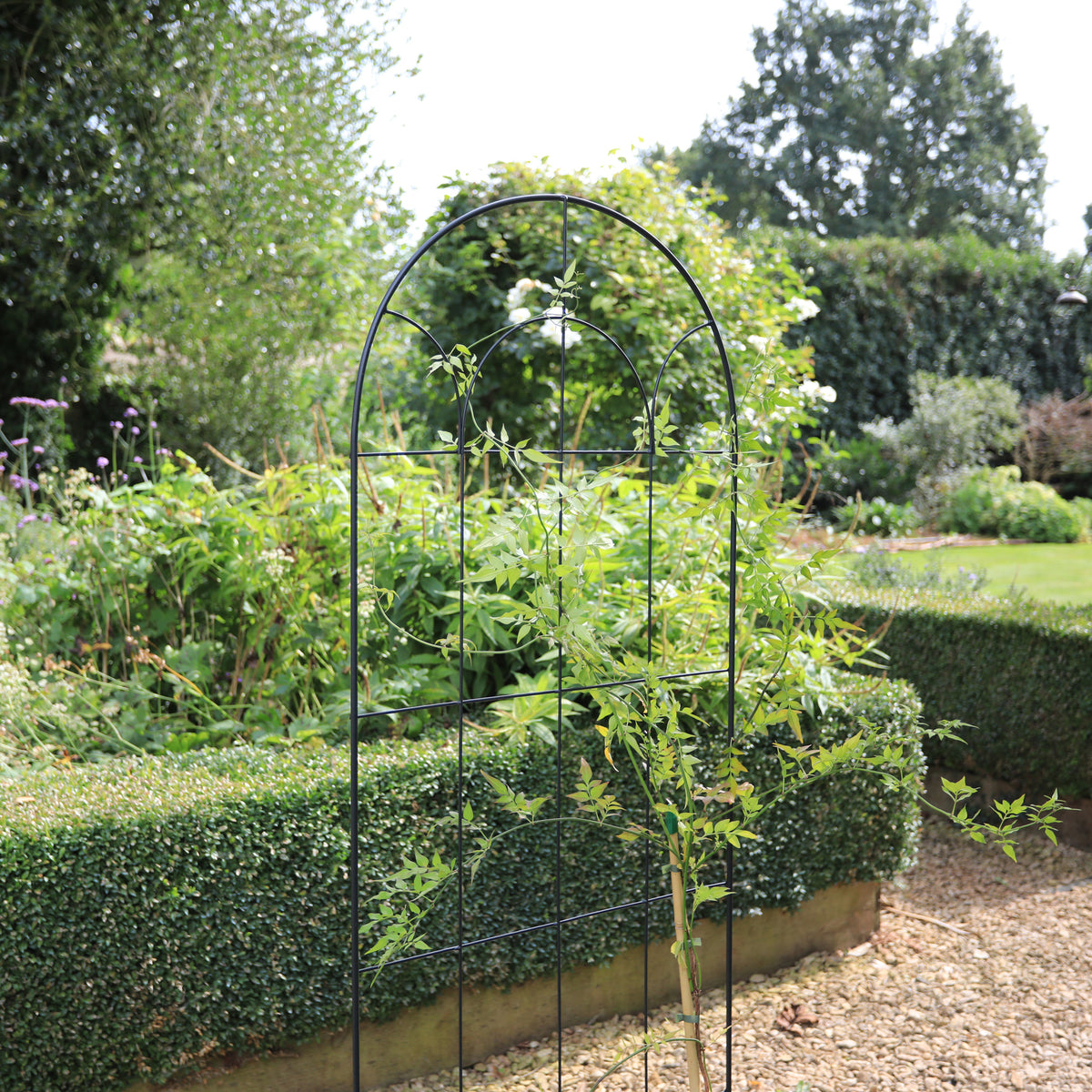 RHS Round Screen Trellis – 71" Freestanding Steel Climbing Plant Support
