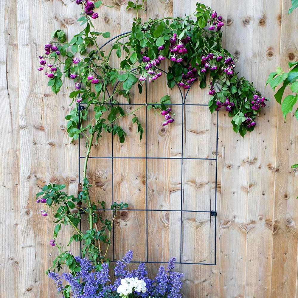 RHS Round Wall Trellis – 24" x 39" Matte Black Steel Wall-Mounted Garden Trellis for Climbing Plants
