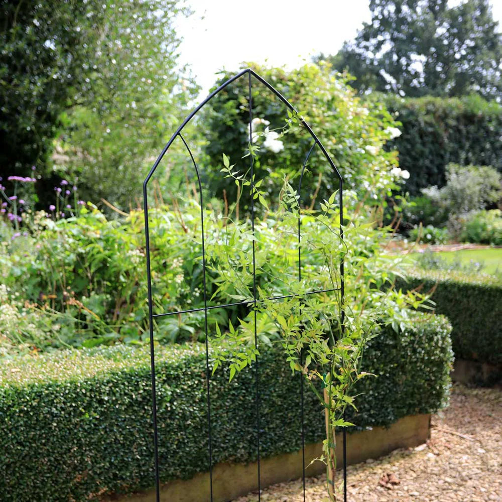 RHS Gothic Screen Trellis – 71" Freestanding Steel Climbing Plant Support