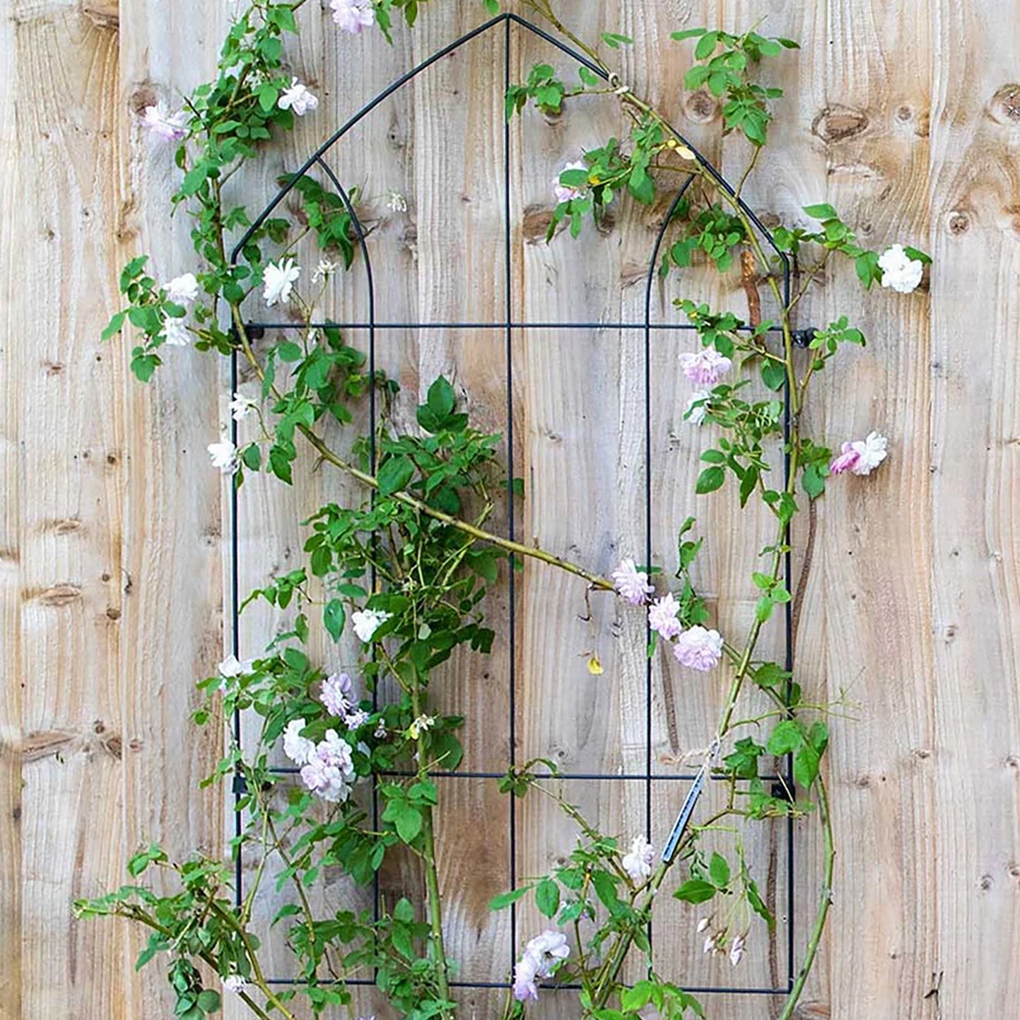 metal garden trellis for climbing plants Gothic Wall Trellis – Handcrafted Steel Wall-Mounted Plant Support