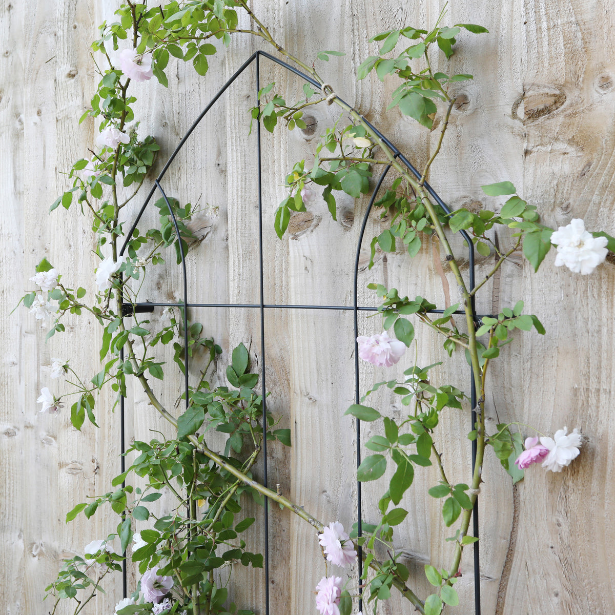 Gothic Wall Trellis | Decorative Steel Wall-Mounted Garden Trellis for Climbing Plants