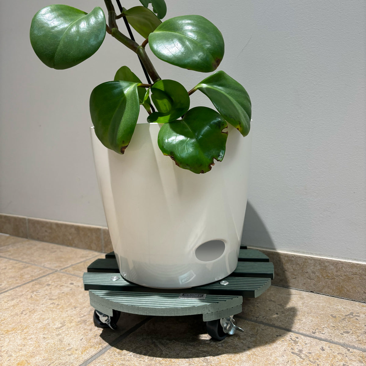 11.4" Sage Green Round WPC Plant Caddy with Locking Casters – Indoor & Outdoor Rolling Plant Stand, 220 lb Capacity