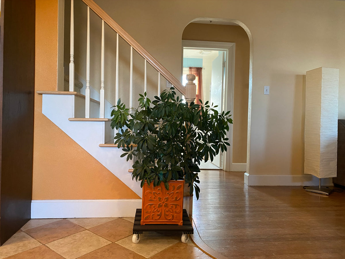 15.4" Gray Square WPC Plant Caddy, Indoor/Outdoor