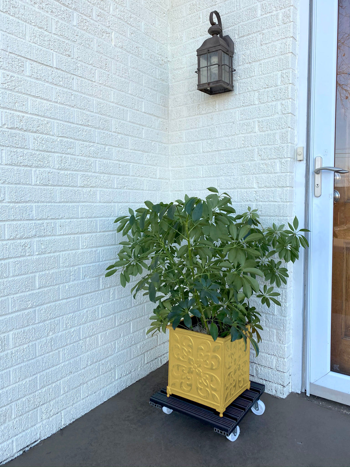 15.4" Gray Square WPC Plant Caddy, Indoor/Outdoor
