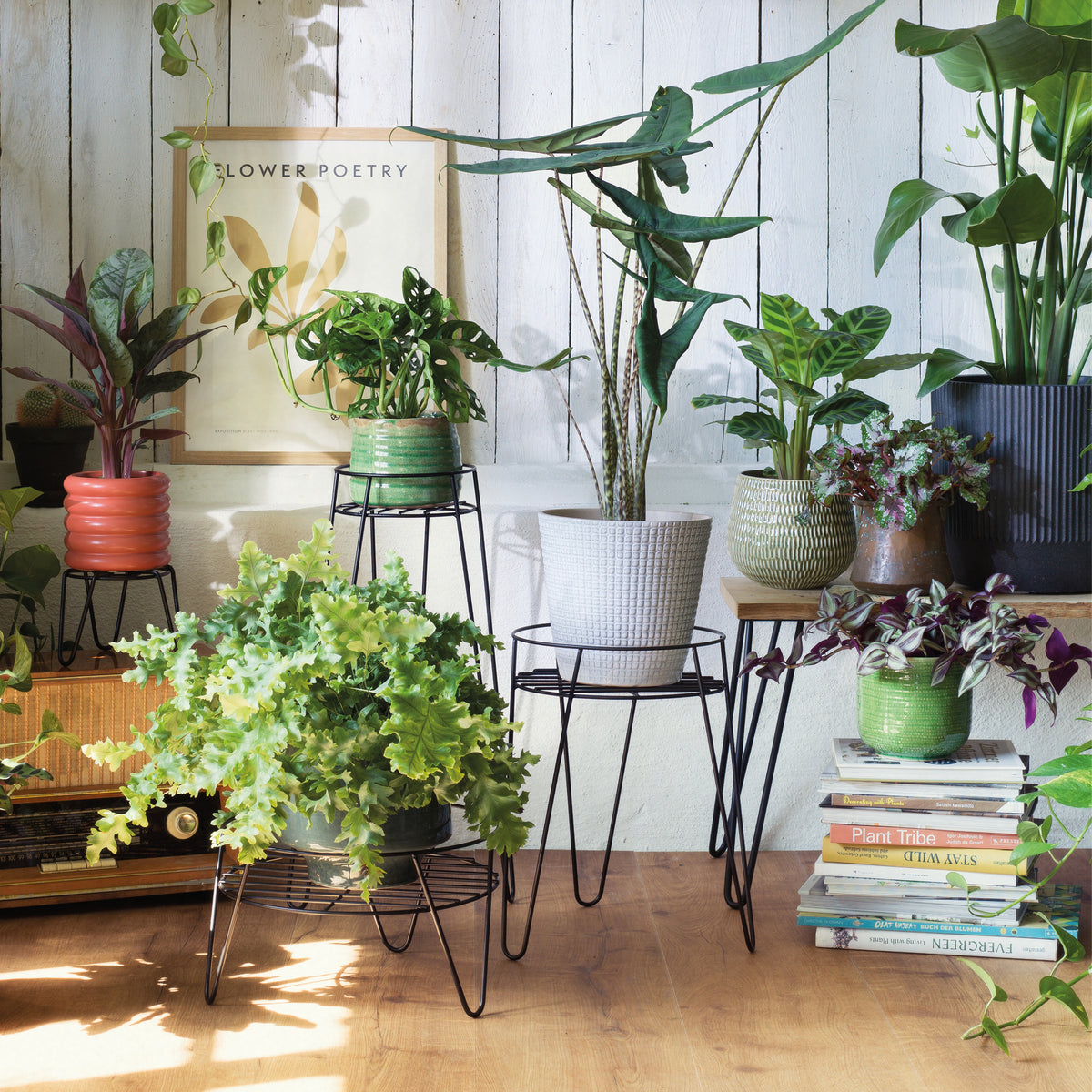 Short Black Metal Plant Stand – Heavy-Duty Powder-Coated Steel Planter Stand for Indoor & Outdoor Use