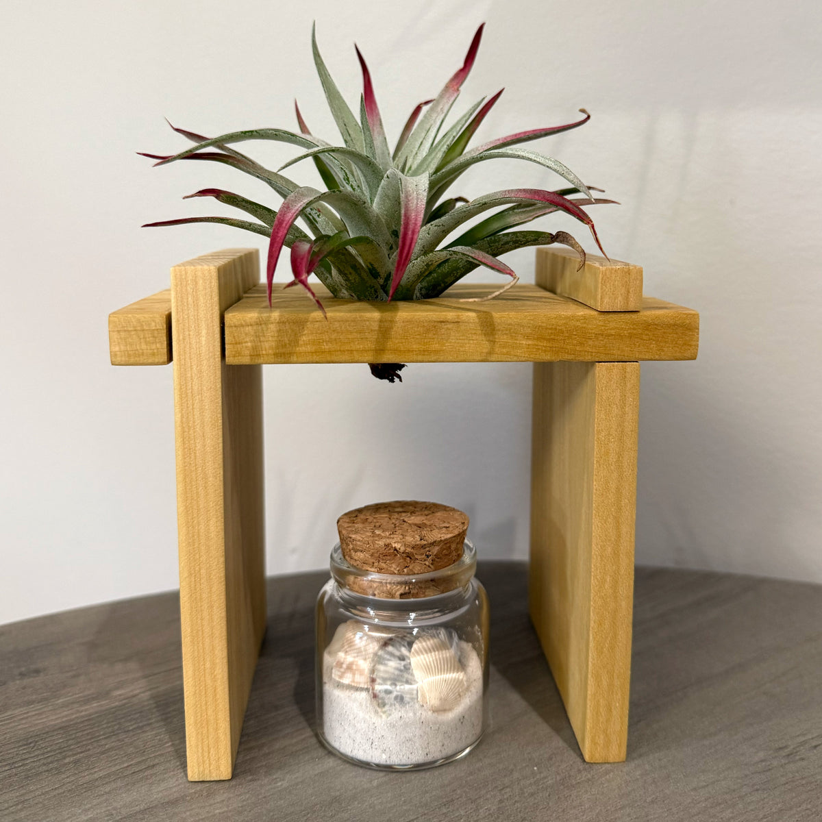 air plant stand holder Air Plant Stands Kit – 2-Piece Natural Poplar Wood Display for Air Plants | Garden Your Way