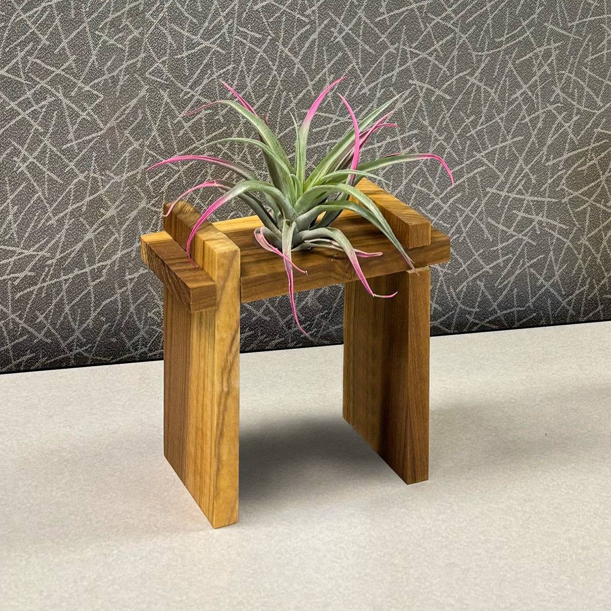 Air Plant Stands Kit with Stone Owl – 2 Poplar Wood Displays & Hand-Carved Stone Owl Accent